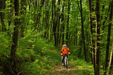Bisikletçi bir iz yaz ormandaki bisiklet sürme