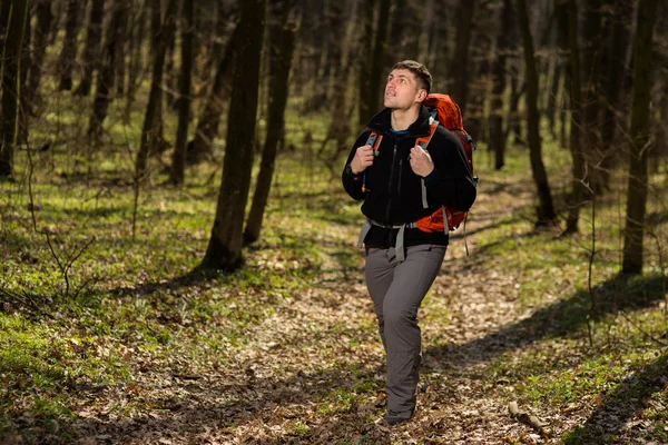Hombre usando bastones de senderismo al aire libre en el bosque . — Foto de Stock