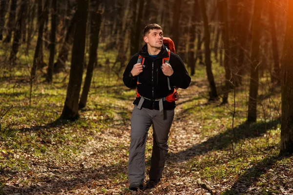 Hombre usando bastones de senderismo al aire libre en el bosque . — Foto de Stock