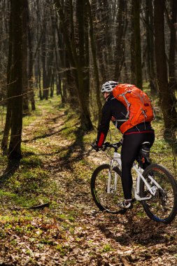 Bisikletçi bir iz yaz ormandaki bisiklet sürme