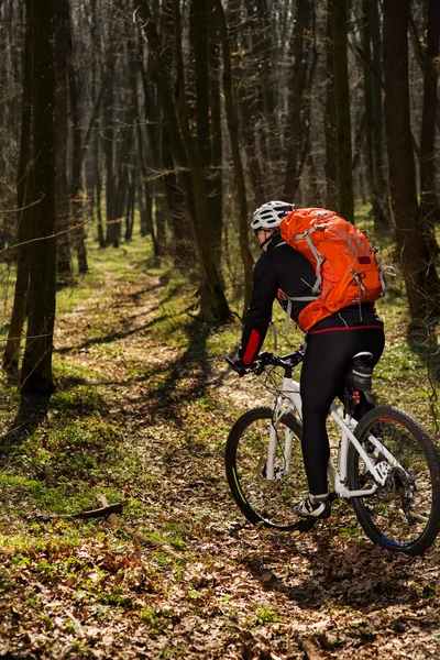 Bisikletçi bir iz yaz ormandaki bisiklet sürme