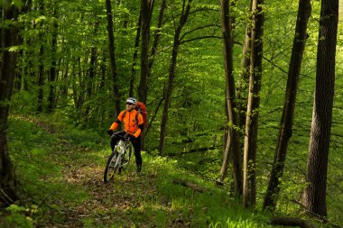 Adam bisikleti yeşil orman