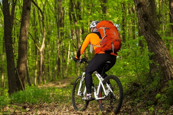 Man bikes in the green forest
