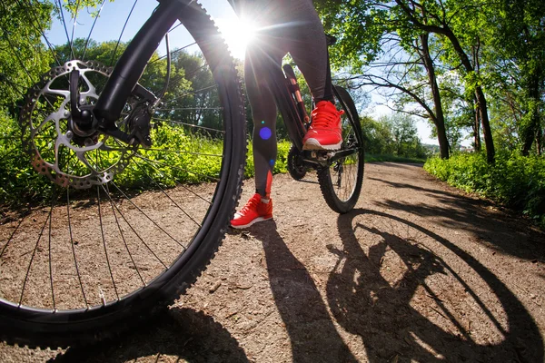 Ung kvinna ha roligt cykla i parken. — Stockfoto