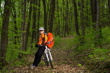 Bisikletçi bir iz yaz ormandaki bisiklet sürme