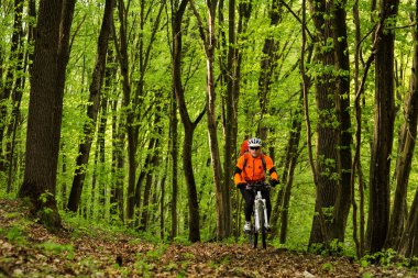 Bisikletçi bir iz yaz ormandaki bisiklet sürme