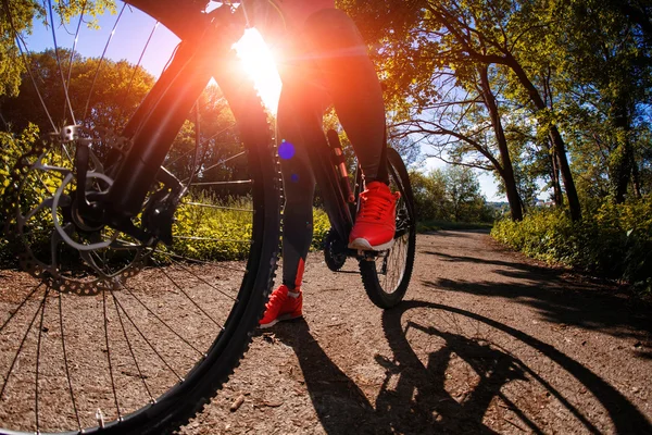 Ung kvinna ha roligt cykla i parken. — Stockfoto