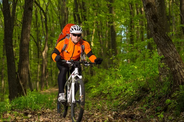 Ciclista montando a bicicleta em uma trilha na floresta de verão — Fotografia de Stock