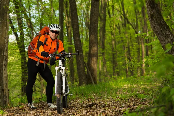 Ciclista montando a bicicleta em uma trilha na floresta de verão — Fotografia de Stock