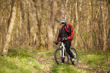 Bisikletçi bir iz yaz ormandaki bisiklet sürme