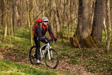 Bisikletçi bir iz yaz ormandaki bisiklet sürme