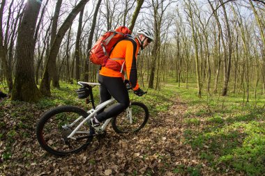 Güzel bahar ormandaki bisiklet sürme bisikletçi