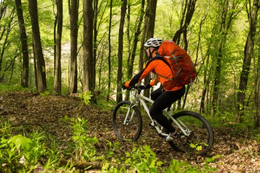 Güzel bahar ormandaki bisiklet sürme bisikletçi