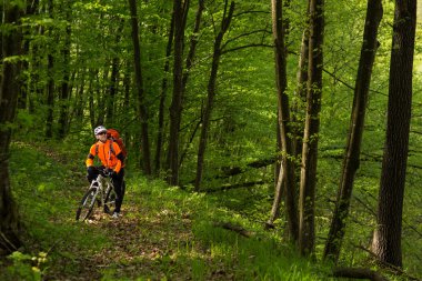 Bisikletçi bir iz yaz ormandaki bisiklet sürme
