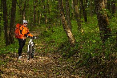 Bisikletçi bir iz yaz ormandaki bisiklet sürme