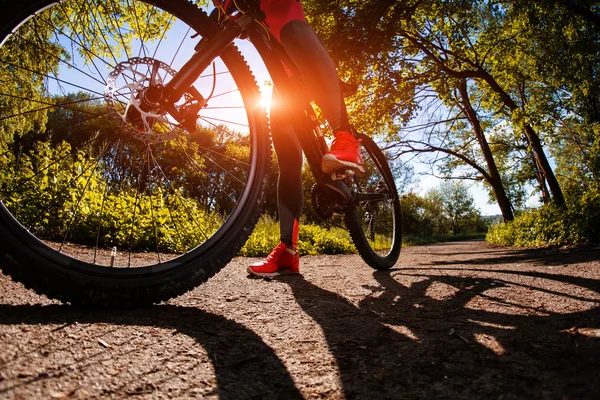 Radfahrerin fährt mit Fahrrad in Park — Stockfoto