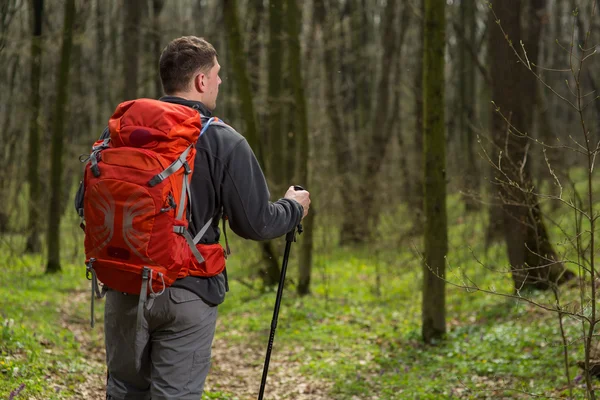Férfi túrázó néz oldalra séta az erdőben — Stock Fotó