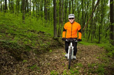 Bisikletçi bir iz yaz ormandaki bisiklet sürme