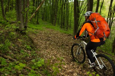 Motorcu orman yolu üzerinde