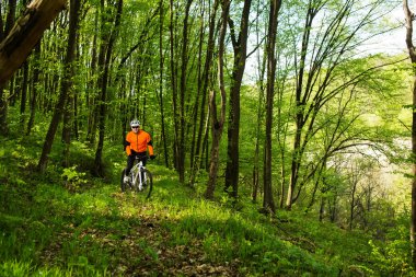 Bisikletçi bir iz yaz ormandaki bisiklet sürme