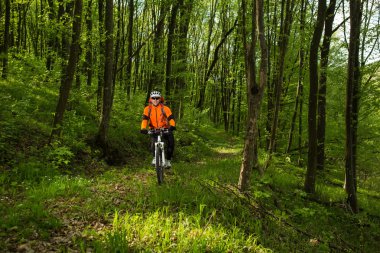 Motorcu orman yolu üzerinde