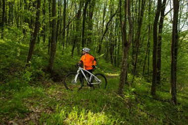 Bisikletçi bir iz yaz ormandaki bisiklet sürme