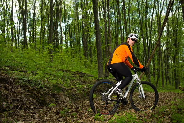 Ciclista montando en bicicleta en un sendero en el bosque de verano — Foto de Stock
