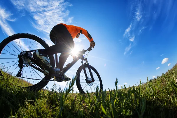 Ciclista en el hermoso sendero del prado —  Fotos de Stock