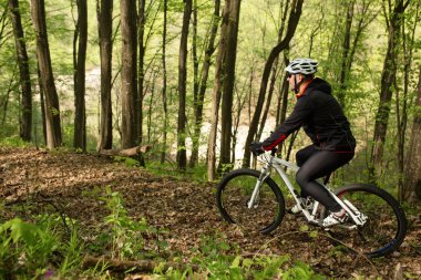 Bisikletçi bir iz yaz ormandaki bisiklet sürme