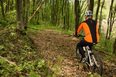 Bisikletçi bir iz yaz ormandaki bisiklet sürme