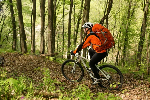 Biker na estrada da floresta — Fotografia de Stock