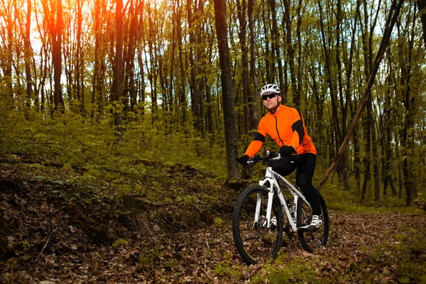 Велосипедист на велосипеде по тропе в Летнем лесу — стоковое фото