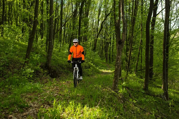 Biker on the forest road — Stock Photo, Image