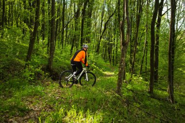 Orman yolu üzerinde turuncu mayoyu motorcu