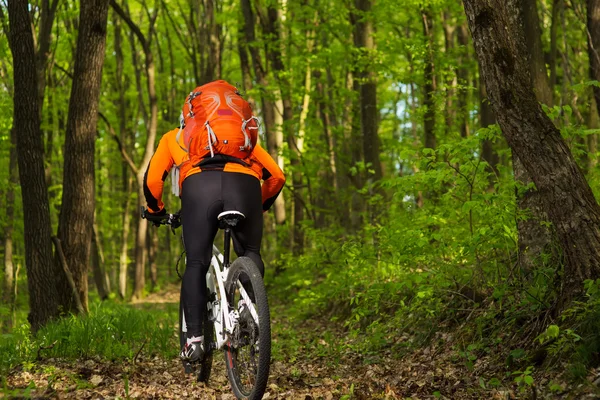 Biker in orange jersey on the forest road — Stock Photo, Image