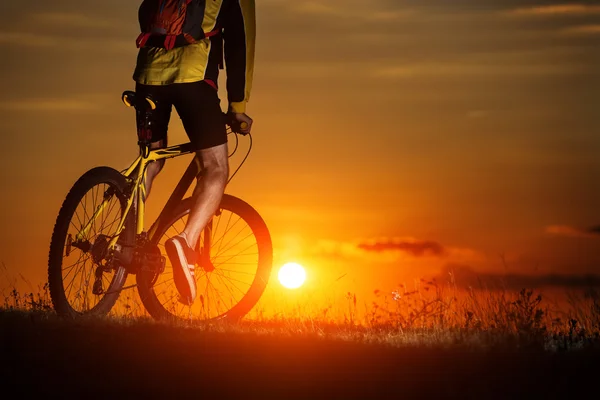 Sporty Man Riding a Bicycle on the Country Road. — Stock Photo, Image