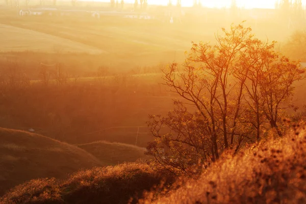 Brouillard d'automne et soleil du matin dans un paysage — Photo