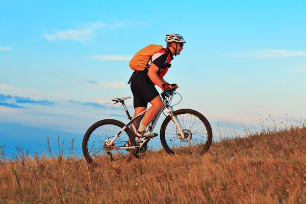 Mountain Bike ciclista a caballo al aire libre — Foto de Stock