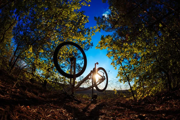 Schöne Szene mit dem Fahrrad bei Sonnenuntergang — Stockfoto