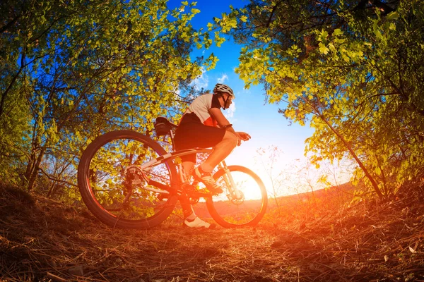 Man riding a bicycle in nature — Stock Photo, Image