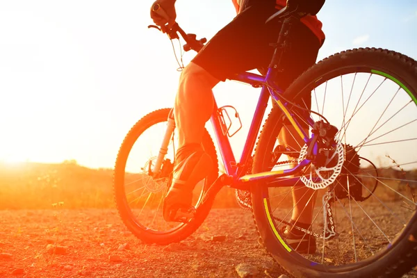 Låg vinkel syn på cyklist ridning mountainbike — Stockfoto