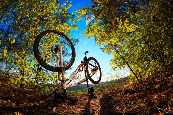 Bela cena de bicicleta no pôr do sol — Fotografia de Stock