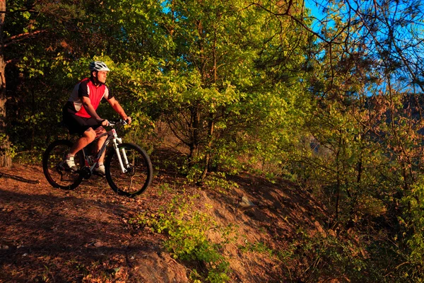 Motociclista en bicicleta en madera — Foto de Stock