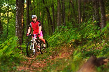 Ormanda bisiklet sürme motorcu