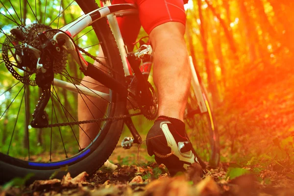 Låg vinkel syn på cyklist ridning mountainbike — Stockfoto