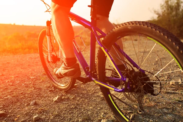 Bisikletçi binme dağ bisikleti düşük açılı görünümü — Stok fotoğraf