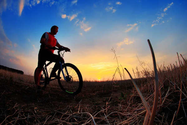 一个骑自行车的人和自行车上日落背景的剪影. — 图库照片