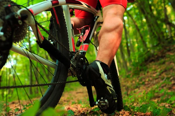 Низкий угол зрения велосипедиста езда на горном велосипеде — стоковое фото