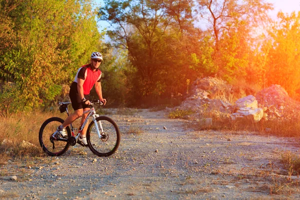 Mountain Bike cyclist riding outdoor