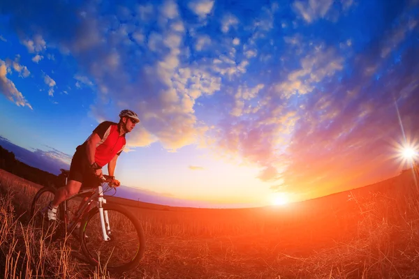 一个骑自行车的人和自行车上日落背景的剪影. — 图库照片